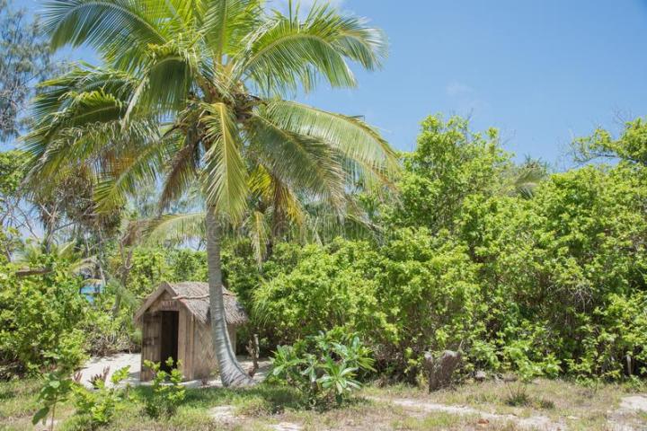 rustic-thatched-roof-shack-remote-rainforest-under-blue-sky-mystery-island-vanuatu-shack-tropics-107864944